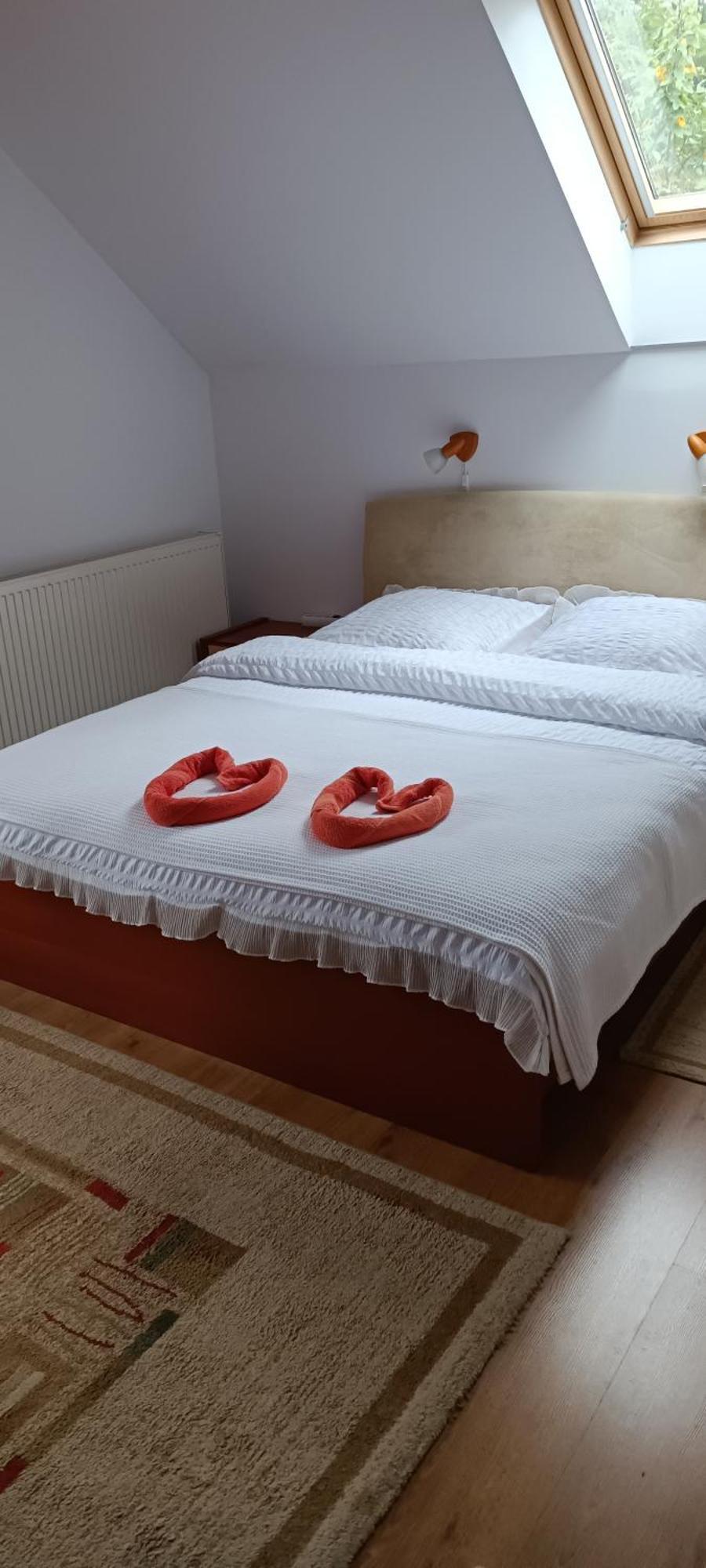 Ferienwohnung Pasager House Sovata Exterior foto