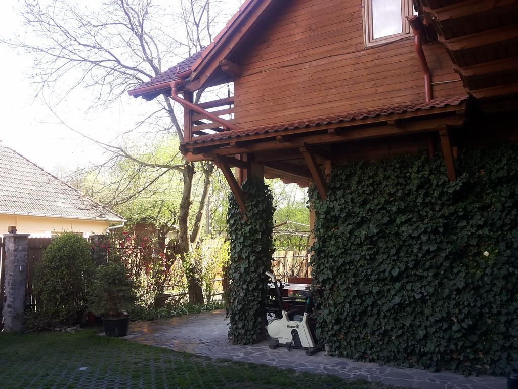 Ferienwohnung Pasager House Sovata Exterior foto
