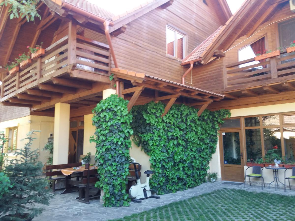 Ferienwohnung Pasager House Sovata Exterior foto