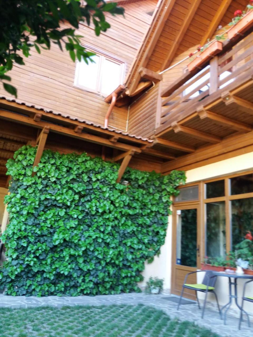 Ferienwohnung Pasager House Sovata Exterior foto
