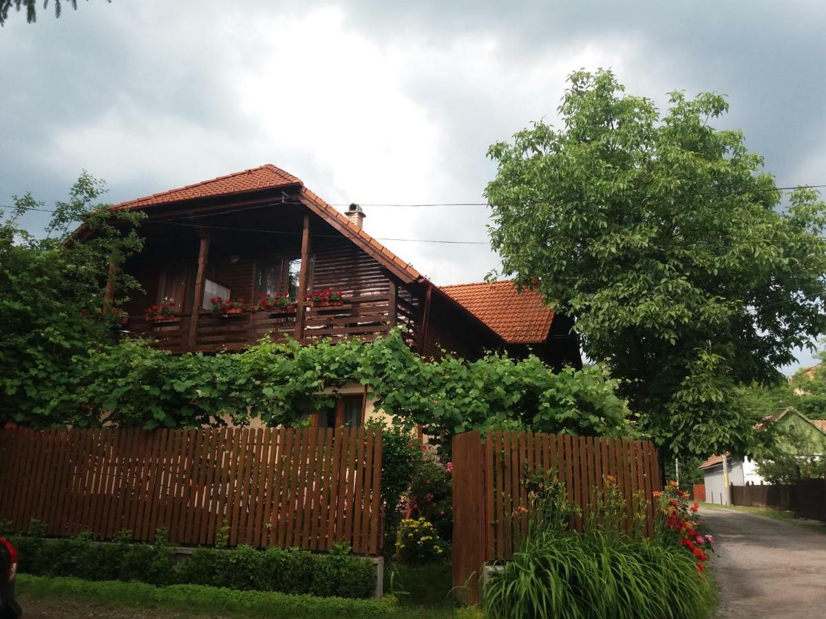 Ferienwohnung Pasager House Sovata Exterior foto